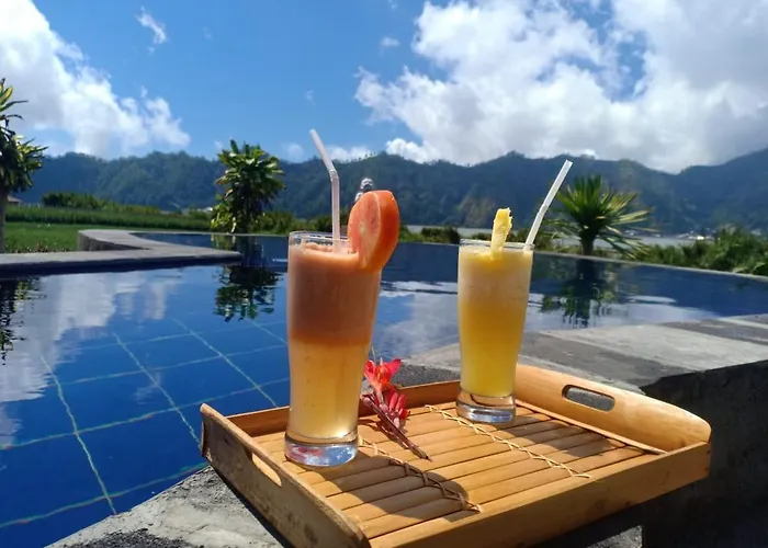 Lakeside Log * Kintamani (Bali)